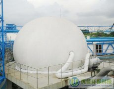 山東太陽(yáng)紙業(yè)300立方雙膜氣柜工程